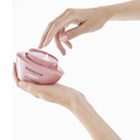 Chroma Absolu - Masque Chroma Filler