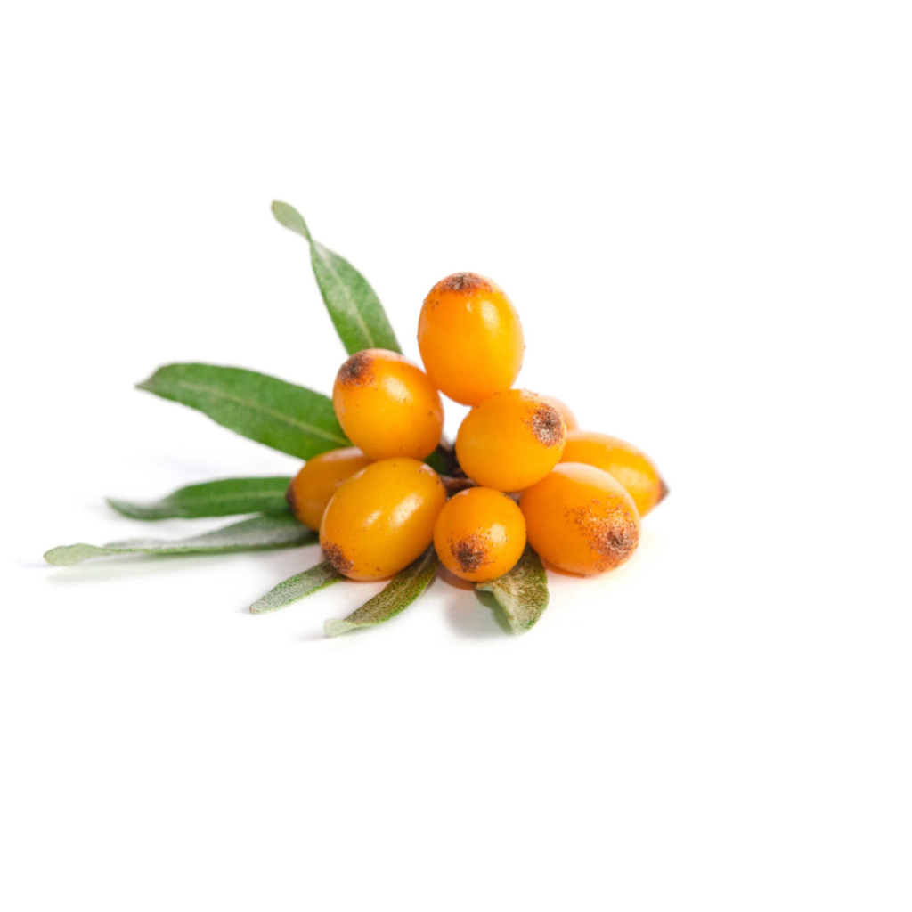 Sea Buckthorn Solid Shampoo