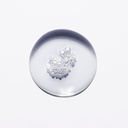 Chronologiste - Bain Régénérant Shampoo