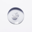 Chronologiste - Bain Regenerant Shampoo