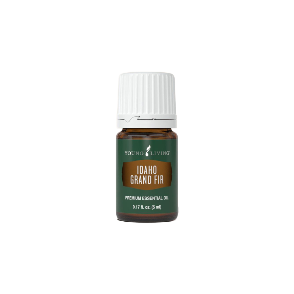 Idaho Grand Fir Essential Oil