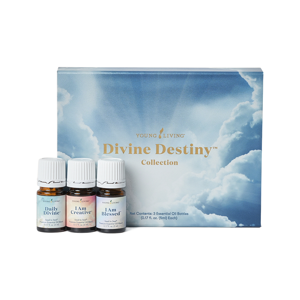 Divine Destiny Collection 